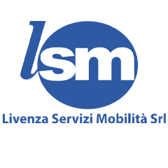 lsm